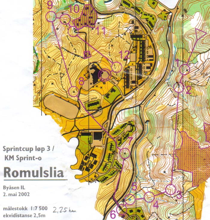 2002-05-02 Sprint-cup-3 Romulslia_Trondheim