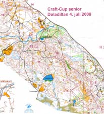 2008.07.04 Craftcup Middle Ripan Tynset Norway